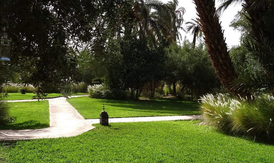 L'Ma Lodge Skoura Zewnętrze zdjęcie